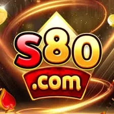Panduan Lengkap Aplikasi s80 untuk Pemula